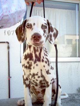 danna004.jpg